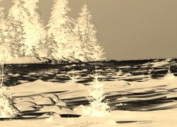 Sepia + Negatyw