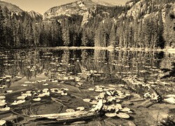 Sepia