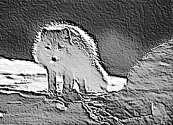 Skamielina