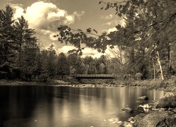 Szary + Sepia