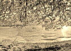 Sepia