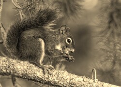 Sepia