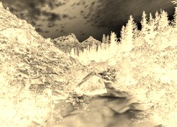 Sepia + Negatyw