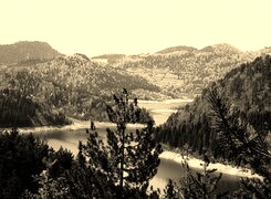 Sepia