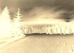 Sepia + Negatyw