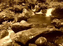 Sepia