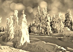 Szary + Sepia