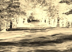 Sepia + Negatyw
