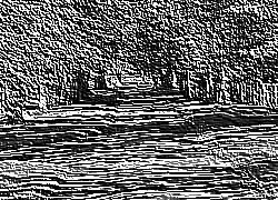 Skamielina