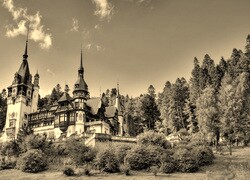 Szary + Sepia