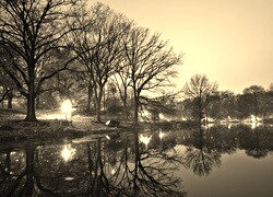 Szary + Sepia