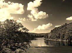Szary + Sepia