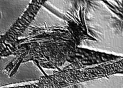 Skamielina
