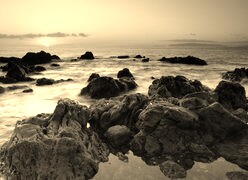 Szary + Sepia