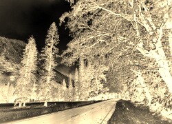Sepia + Negatyw