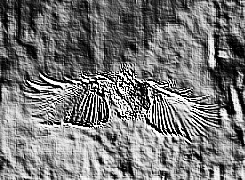 Skamielina