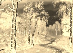 Sepia + Negatyw