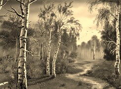 Szary + Sepia