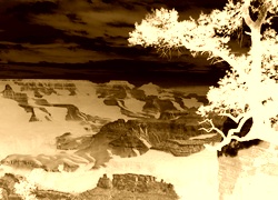 Sepia + Negatyw