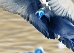 Negatyw