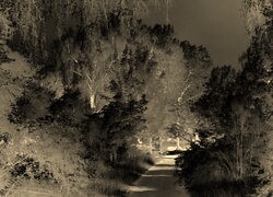 Sepia + Negatyw