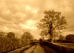 Sepia