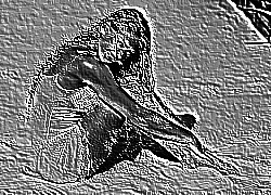 Skamielina
