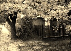 Sepia