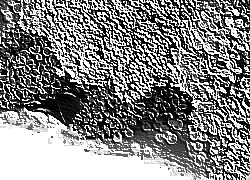 Skamielina