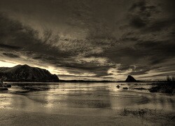 Szary + Sepia