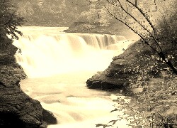 Sepia
