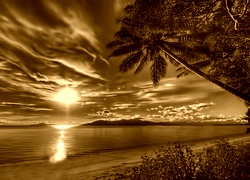 Sepia