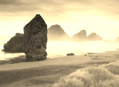 Szary + Sepia