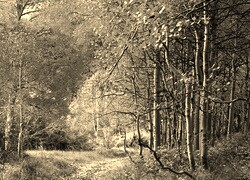 Sepia