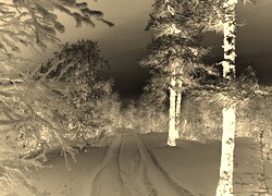Sepia + Negatyw