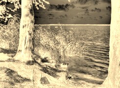 Sepia + Negatyw