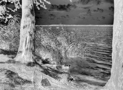 Szary + Negatyw