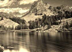 Szary + Sepia