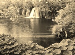 Sepia