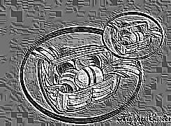Skamielina
