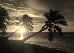 Szary + Sepia