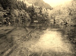 Szary + Sepia