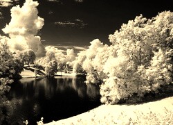 Szary + Sepia