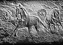 Skamielina