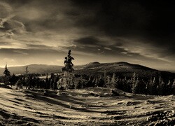 Szary + Sepia