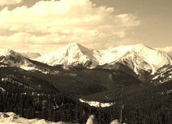 Szary + Sepia