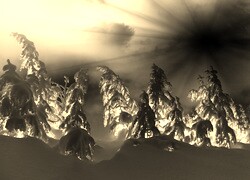 Sepia + Negatyw