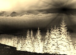 Sepia + Negatyw