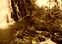 Sepia