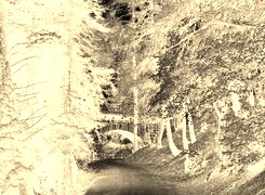 Sepia + Negatyw